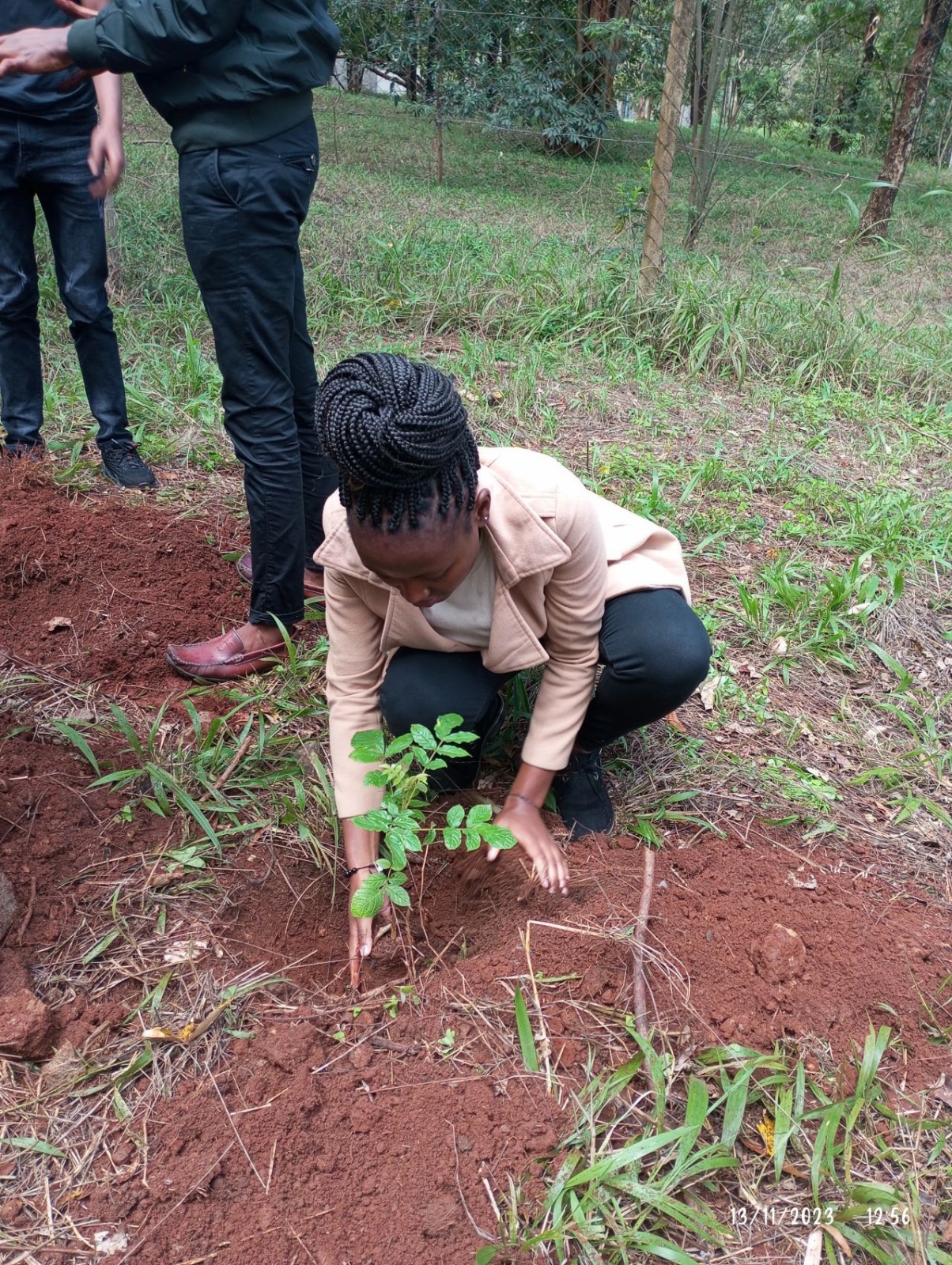Students planting trees during Fresha na Mti campaign